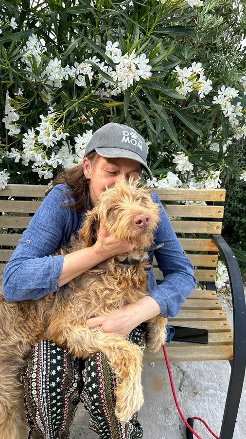 Maria José a dar carinho a um dos cães do Cantinho da Esperança
