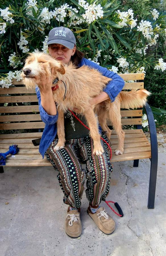 Maria José a cuidar de um cão resgatado
